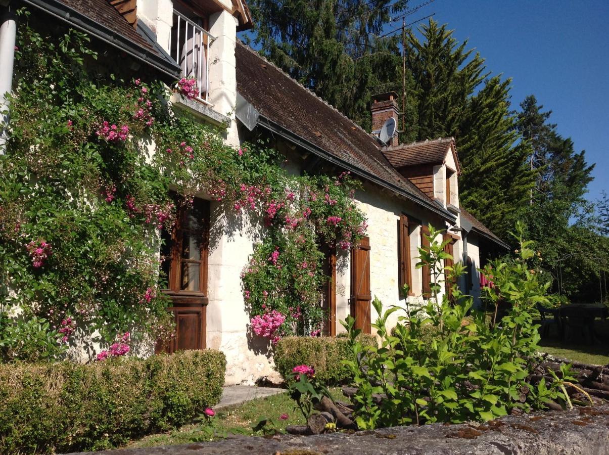Gite O Beauval Saint-Aignan  Exteriör bild