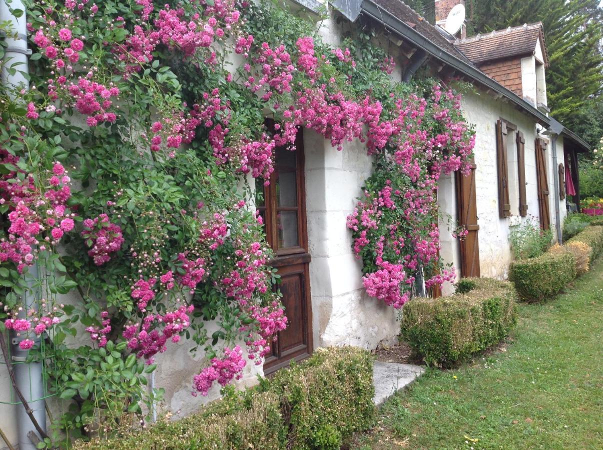 Gite O Beauval Saint-Aignan  Exteriör bild